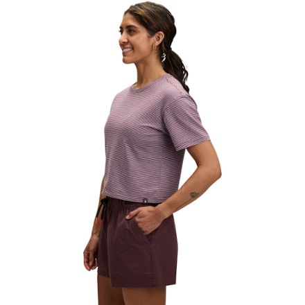 Black Diamond Stripe Crop T-Shirt - Women's 3