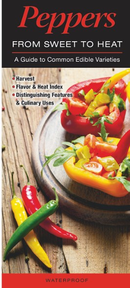 Product Image of color