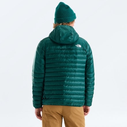 The North Face Terra Peak Insulated Hoodie - Men's 1