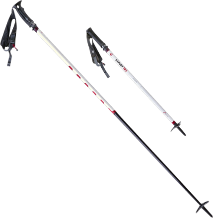 msr trekking pole