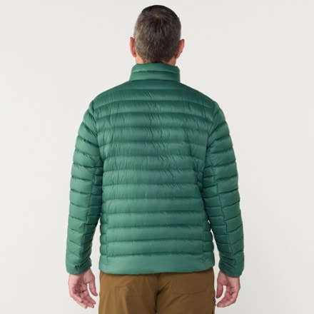 Patagonia Down Sweater - Men's 2