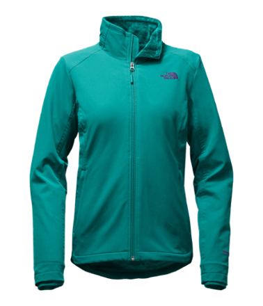 north face women's lisie raschel jacket