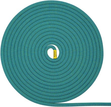 Sterling IonR XEROS 9.4 mm Dry Rope 1