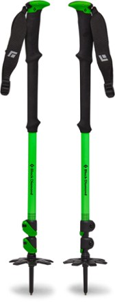 Black Diamond Expedition WR 3 Ski Poles 1