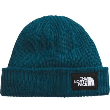 The North Face Salty Lined Beanie 0