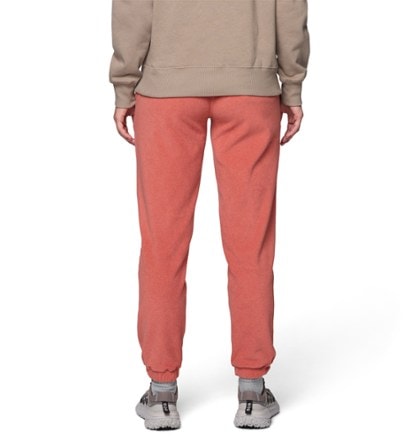 Mountain Hardwear Microchill Joggers - Women's 1