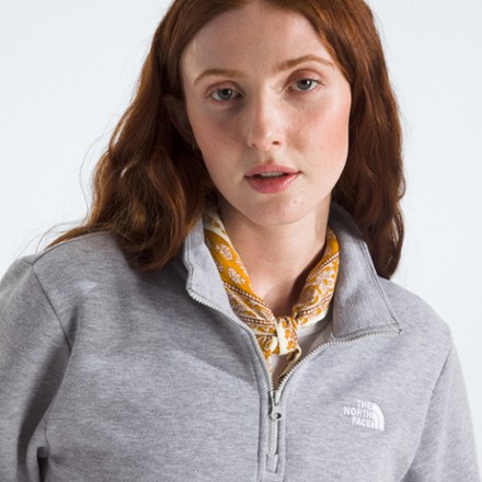 The North Face Evolution Simple Dome Quarter-Zip Pullover