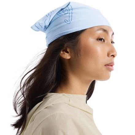 Arc'teryx Sinsolo Bandana 5