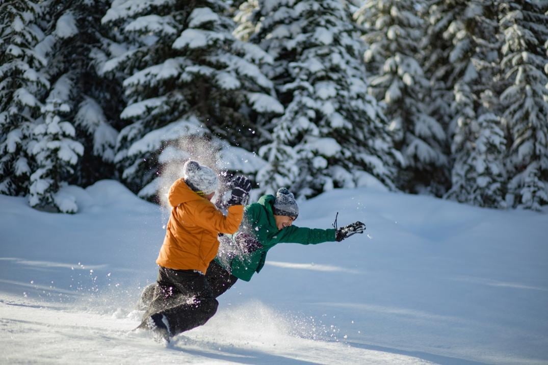 Location Image for Timber Mountain Gloves - Kids'