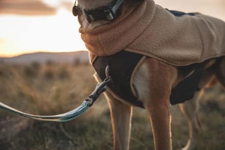 Ruffwear Timberline Fuse Fleece Dog Vest 8