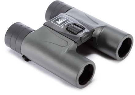 Alternate View (Gunmetal)