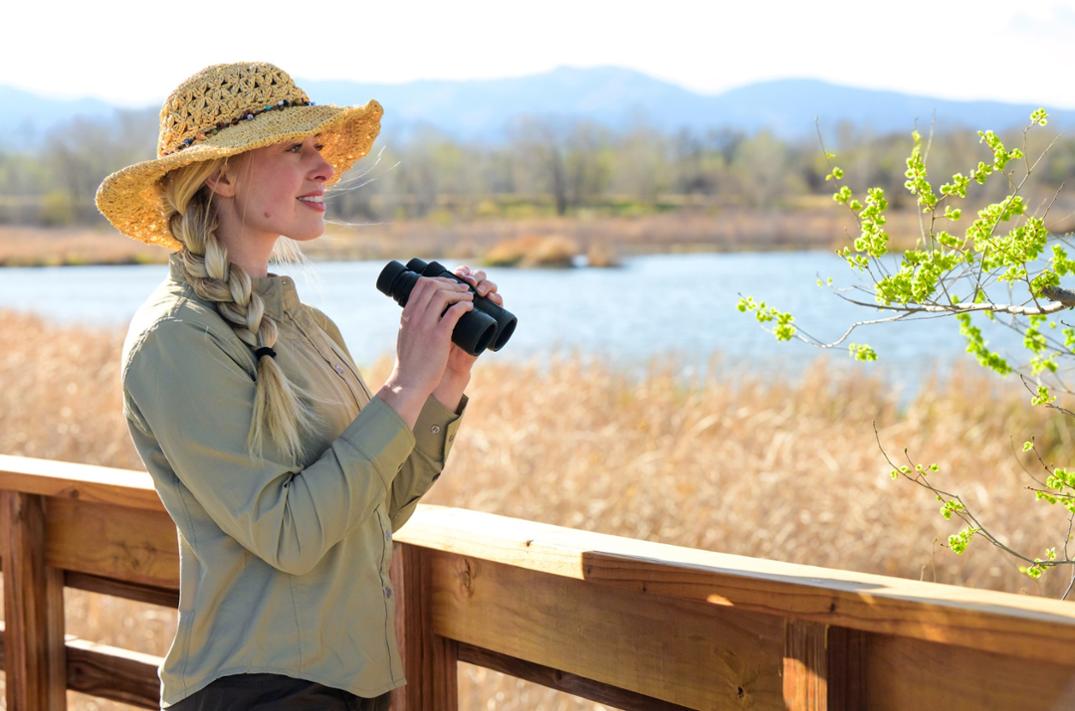 Location Image for Prostaff P7 8 x 42 Binoculars
