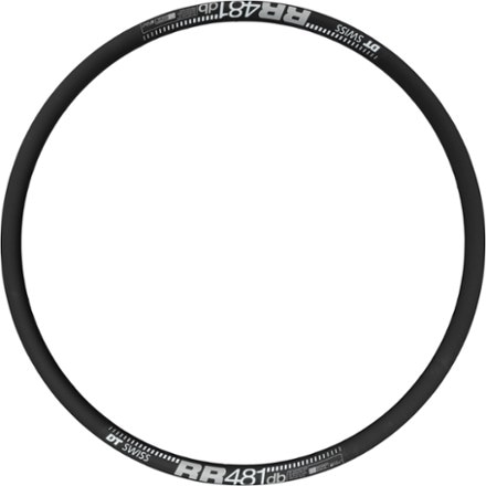 DT Swiss RR 481 Rim 1
