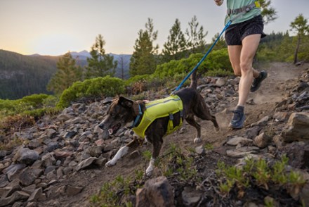 Ruffwear Trail Runner Leash 3