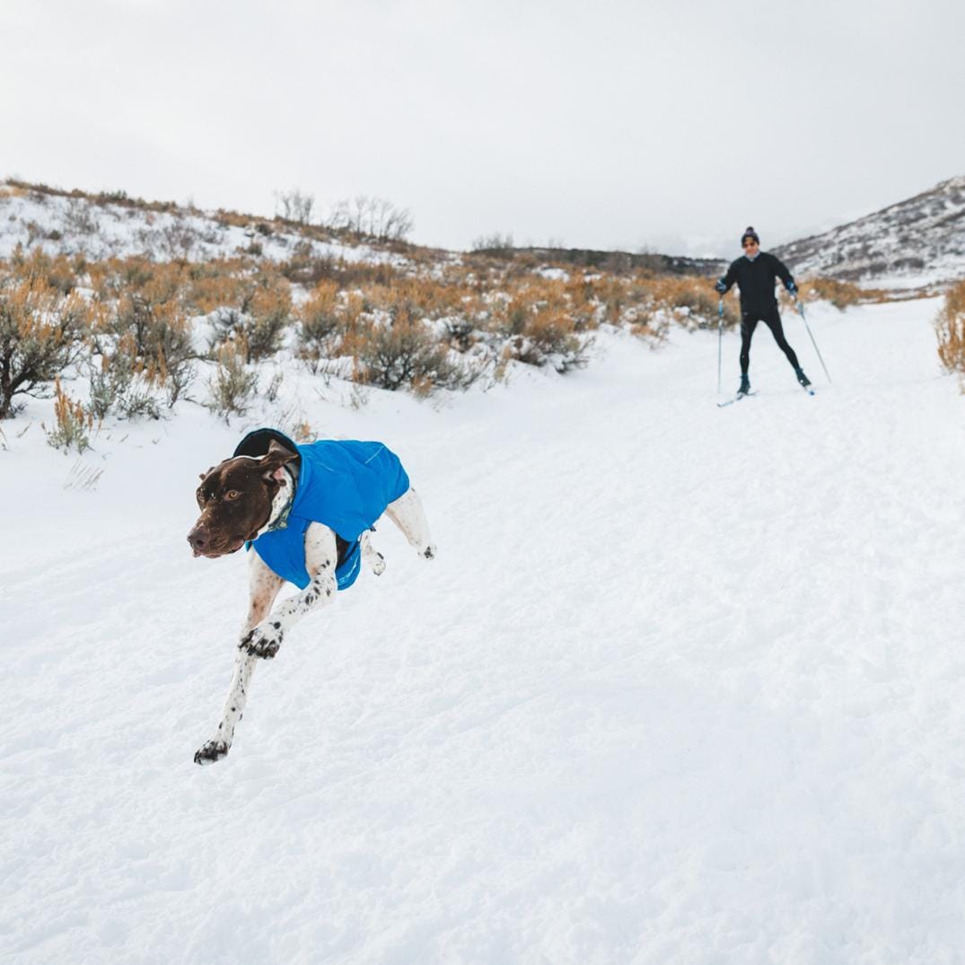 Location Image for Vert Jacket