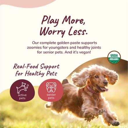 kin+kind Organic Healthy Hip and Joint Supplement for Dogs and Cats 1