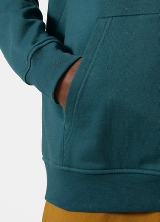 Helly Hansen Nord Graphic Pullover Hoodie - Men's 5