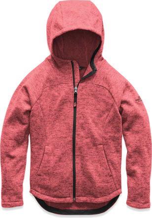 north face indi fleece jacket