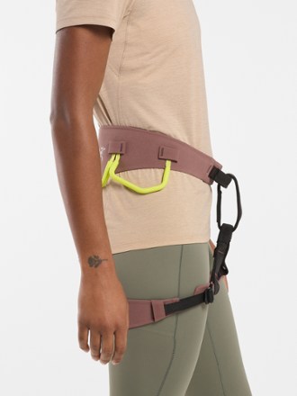 Arc'teryx AR-385a Harness - Women's 3
