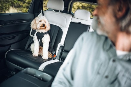 Thule Cappy Dog Harness - S 3