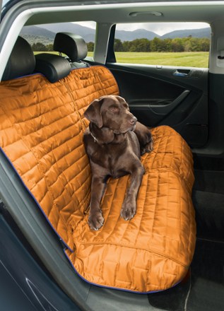 Reversed (Blue/Orange)