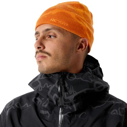 Arc'teryx Grotto Toque Hat 4