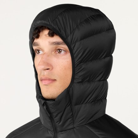 Arc'teryx Cerium Down Hoody - Men's 4