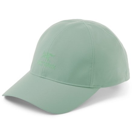 Arc'teryx Bird Word Cap 0