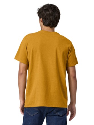 Patagonia Fitz Roy Icon Responsibili-Tee Shirt 1