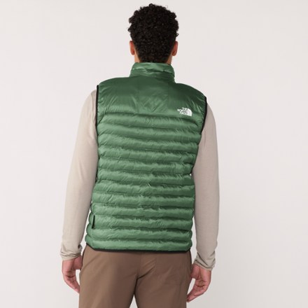 The North Face Terra Peak Insulated Vest - Men's 4