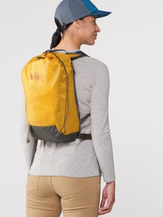 REI Co-op Flash 18 Pack 1