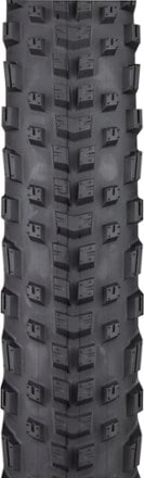 Teravail Ehline Light & Supple Tire - 29 3
