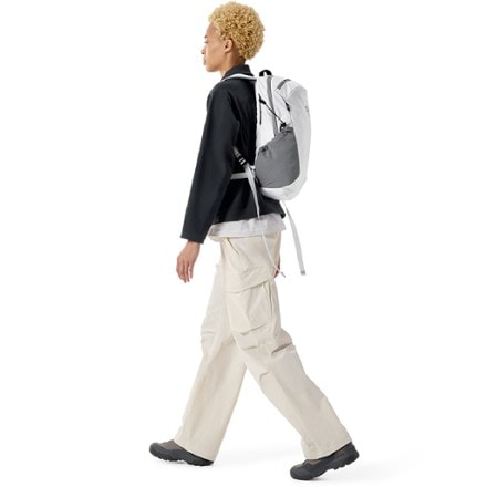 Arc'teryx Mantis 16 Pack 4