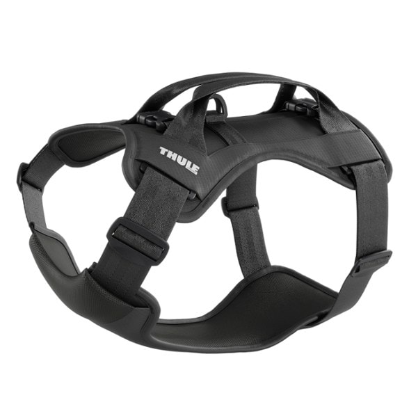 Product Image of color Black