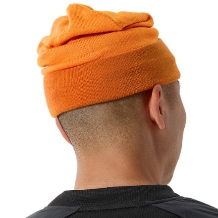 Arc'teryx Color Block Toque 2