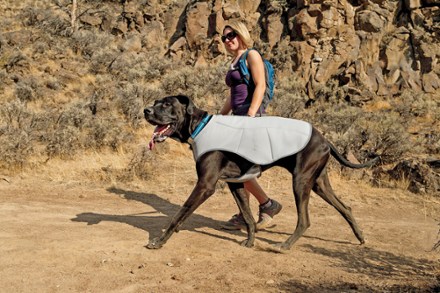 In-Use (Graphite Gray)