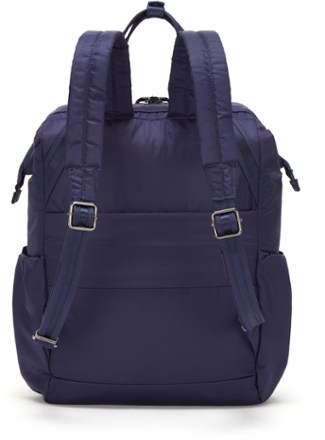 rei pacsafe backpack