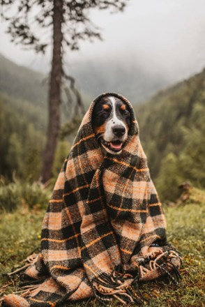Sackcloth & Ashes Vintage Plaid Blanket 4