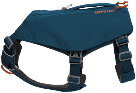 dog training collars