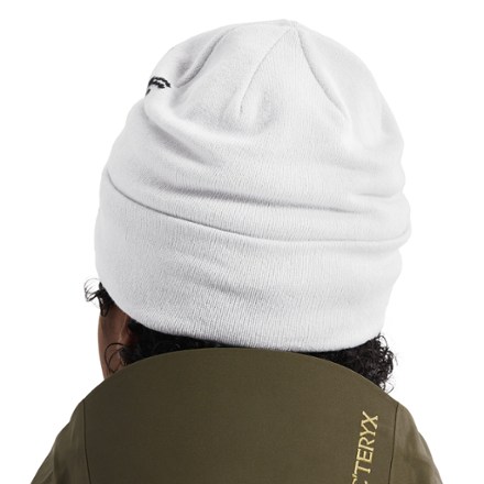 Arc'teryx Bird Word Toque 2