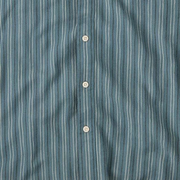 Swatch Image of color Lianas/Still Blue