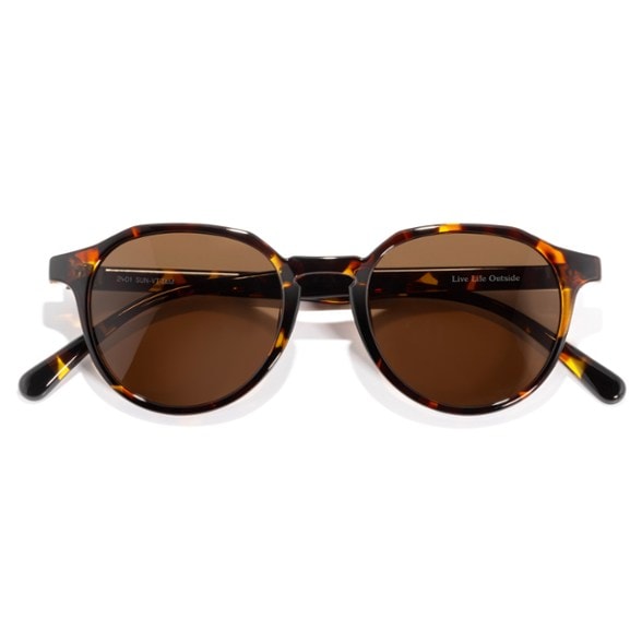 Detail Image of color Tortoise