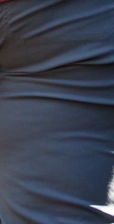 Alpine Parrot Ponderosa Mountain Fit Pants - Women's Plus Size 4