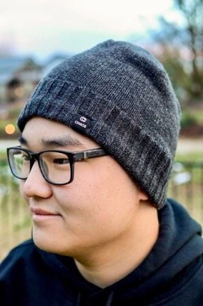 Chaos Beau 80/20 Wool Beanie 2