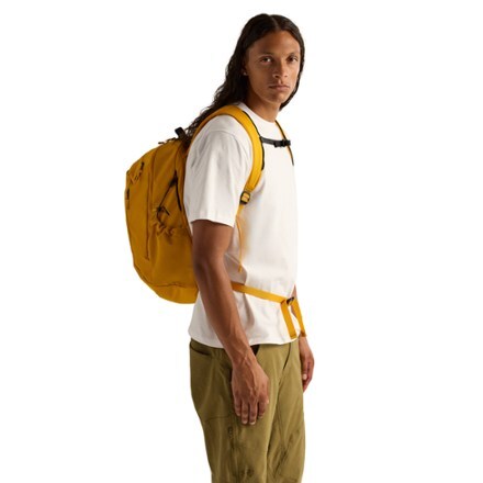 Arc'teryx Mantis 26 Pack 6