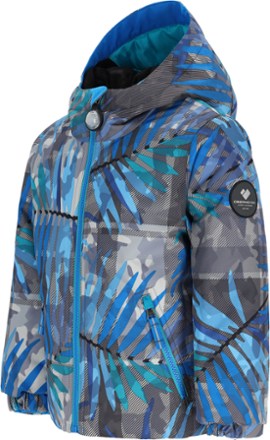 Obermeyer Ashor Insulated Jacket - Toddlers' 4