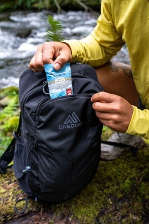 Gregory Arrio 20 Pack 4