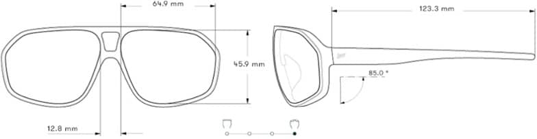 Infographic Image of color Tortoise