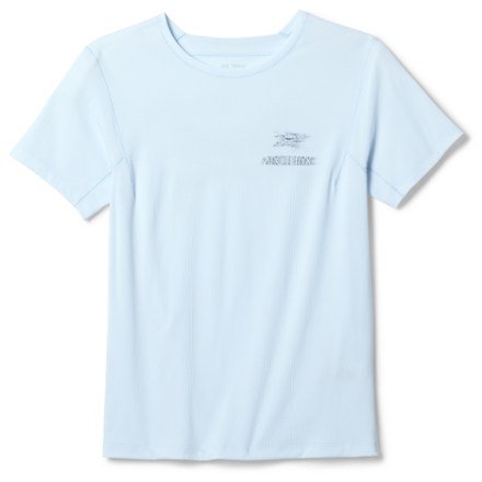 Arc'teryx Arc'teryx Women's Sunna Speed Bird Crew T-Shirt  Blue XXL - $80.00 at REI.com