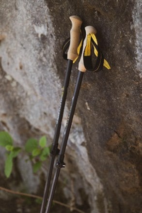 Location Image for Alliance Trekking Poles - Pair